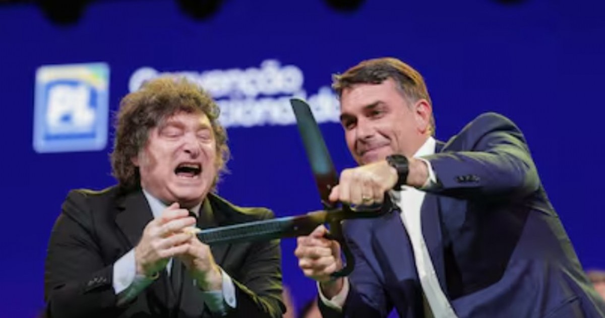 Un ciudadano pidió frenar los excesos de Milei y reclama que el Senado condene sus ataques contra Lula