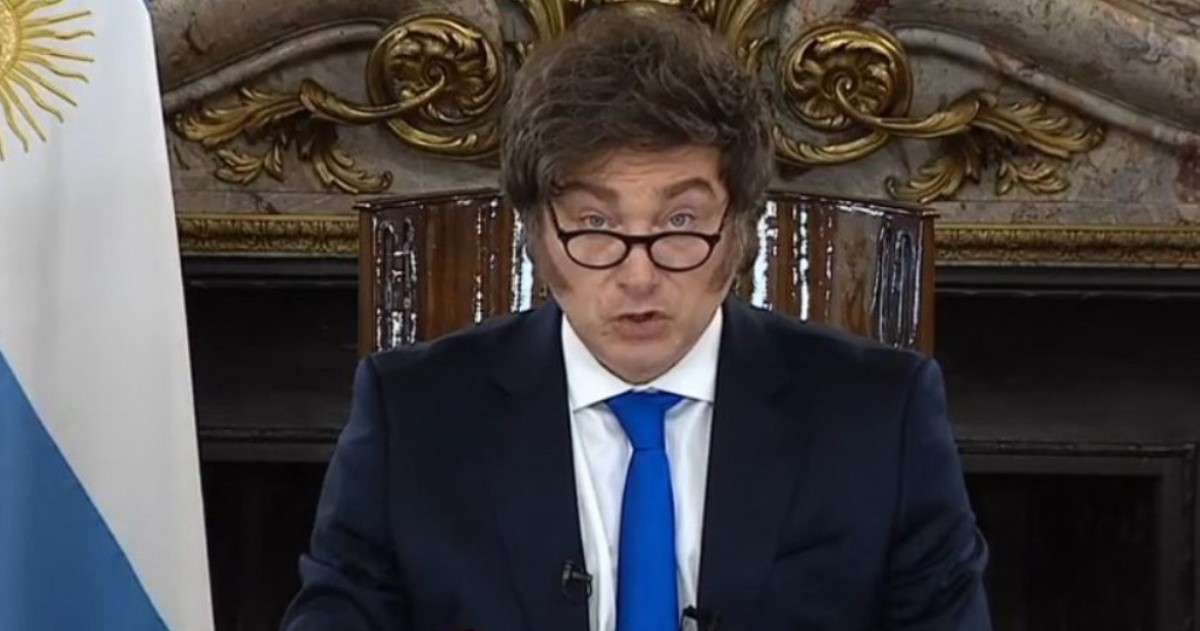Críticos apuntan al decreto firmado por Javier Milei como detonante de la preocupación.