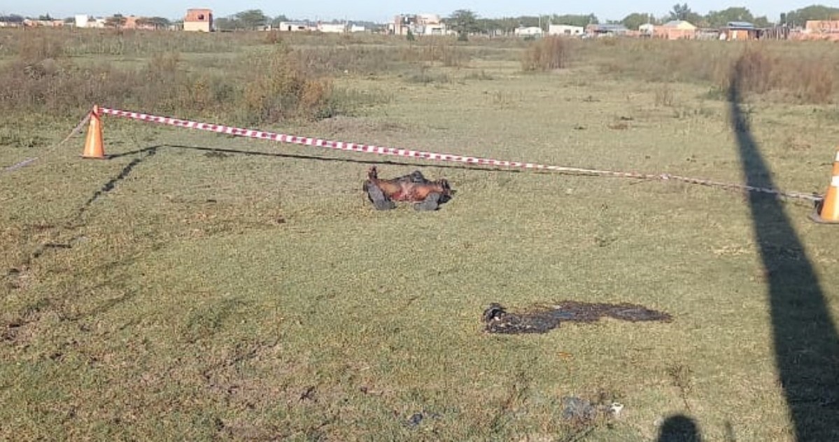 El horroroso caso ocurrió en 22 y 152, al lado de un corralón, y cuando llegaron los policías hallaron al hombre sin vida y al lado de un celular y un encendedor.