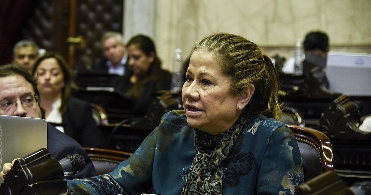 La diputada nacional de “Identidad Bonaerense”, Graciela Camaño, pretende avanzar sobre un viejo proyecto presentado por el bloque del Frente Renovador.