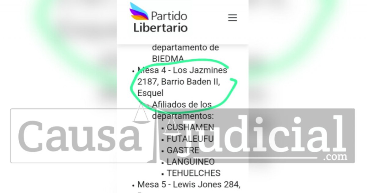 Documentos y testimonios internos señalan que Diego Larumbe y Brenda Huenchullanca habrían incumplido la Carta Orgánica del partido mientras se desempeñaban en cargos provinciales y locales. 
