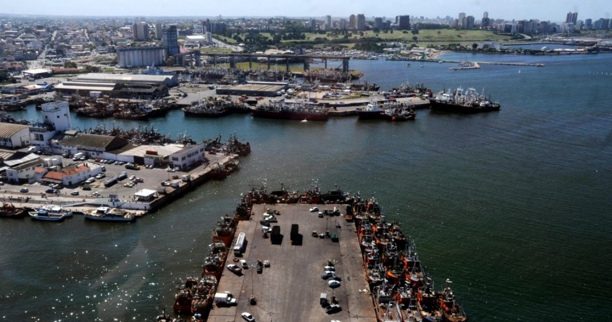 Mar del Plata queda expuesta por bacterias, metales y microplásticos detectados en el puerto según un informe científico
