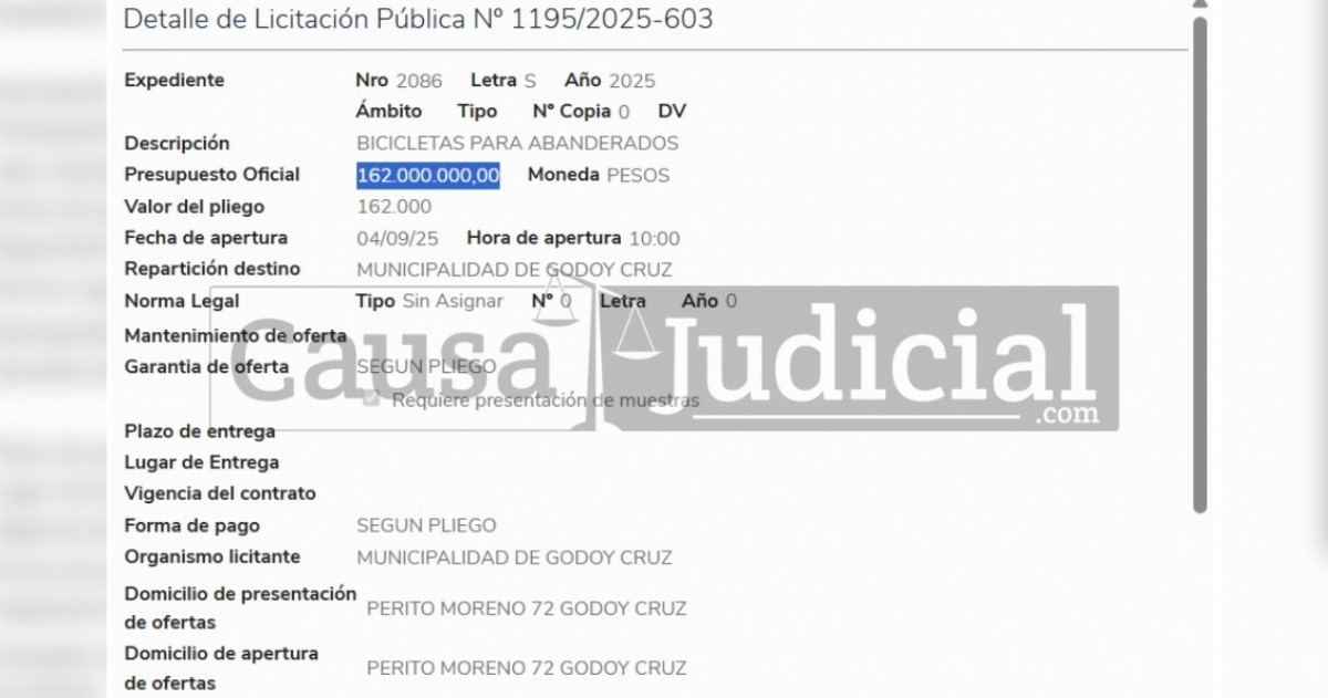 El intendente de Godoy Cruz, Diego Costarelli, avaló la compra sin modificaciones.
