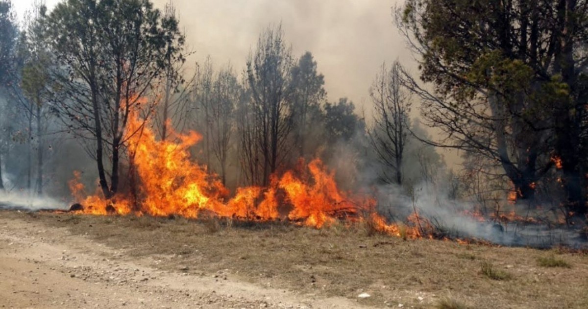 La medida, que quedó establecida en el decreto número 6573, apunta a fortalecer la estrategia de política pública en materia de incendios de vegetación, y mitigar las consecuencias ambientales.