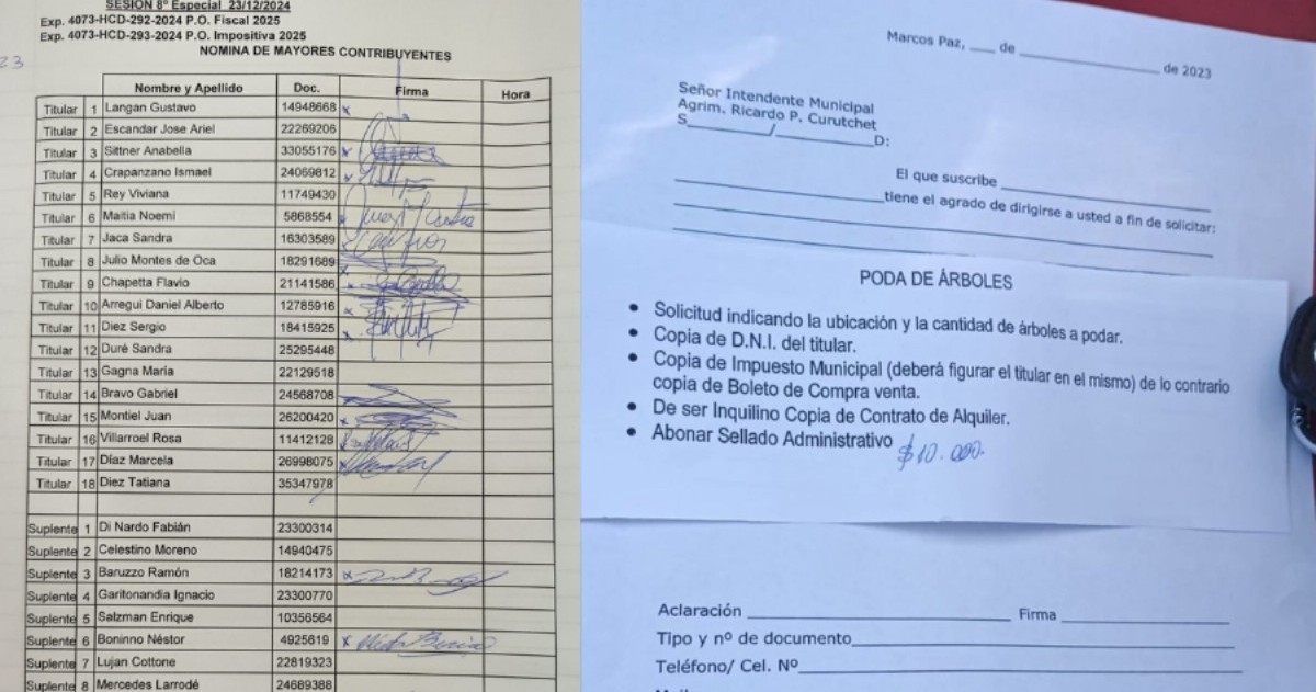 Documentación de prueba de las firmas presentadas por militantes.