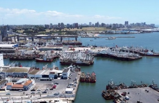 El Puerto de Mar del Plata quedó en la mira por niveles extraordinarios de trimetilamina