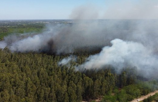 Incendio en el Parque Pereyra: denuncian públicamente al Ministerio de Desarrollo Agrario bonaerense