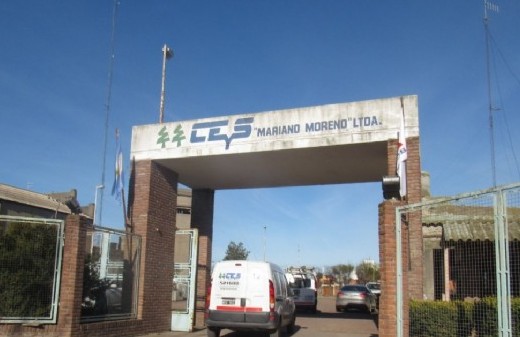 Con cerca de 500 respaldos, la lista Verde tomó ventaja en el proceso electoral de 9 de Julio