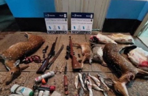 Cazadores furtivos fueron aprehendidos en un control vehicular en Magdalena