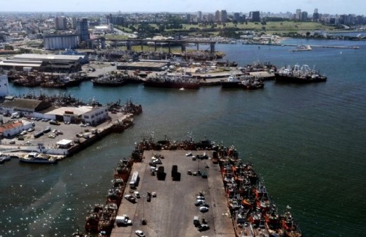 Mar del Plata queda expuesta por bacterias, metales y microplásticos detectados en el puerto según un informe científico