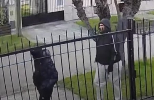 Una banda armada recorrió Mar del Plata robando viviendas y escapó tras quedarse con otro vehículo