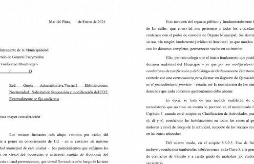 Vecinos de Mar del Plata entregaron al Municipio una queja por la nocturnidad en el área