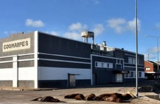 Mar del Plata vuelve al centro de la discusión por presuntas emisiones peligrosas en plantas pesqueras