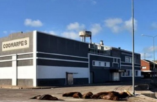 Mar del Plata enfrenta un nuevo escándalo por contaminación mientras la Justicia demora decisiones clave