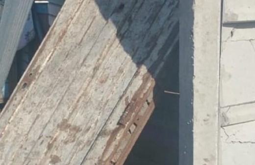 Tristeza en Moreno: destruyeron un refugio y mataron a una perrita