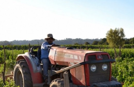 Presentaron ante Diputados un esquema de incentivos para fortalecer al agro y atraer capitales de largo plazo