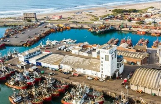 El caso de las harineras golpea a Mar del Plata con 1.082 muestras y una denuncia por niveles críticos de cadmio