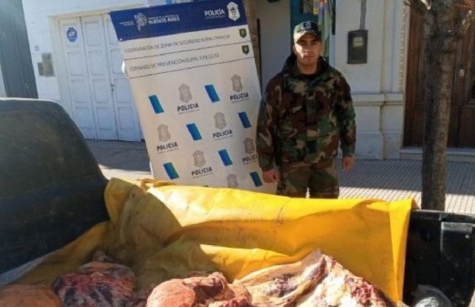 9 de Julio quedó atravesado por una investigación que terminó con carne secuestrada y un sospechoso detenido