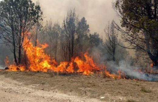 Jujuy declaró la emergencia ígnea y triplicó las multas por causar incendios