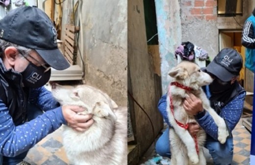 En la Ciudad de Buenos Aires clausuraron un criadero ilegal de animales